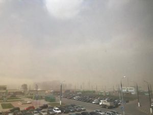 Гомельщину накрыла песчаная буря